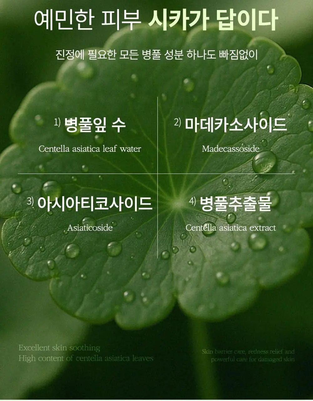 [증정이벤트/탄력광채수분진정] 웰더마 겔마스크팩 4매, 4종 택1 (콜라겐/시카/레티놀/PDRN) 상세페이지 41